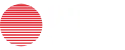 Wildtokyo
